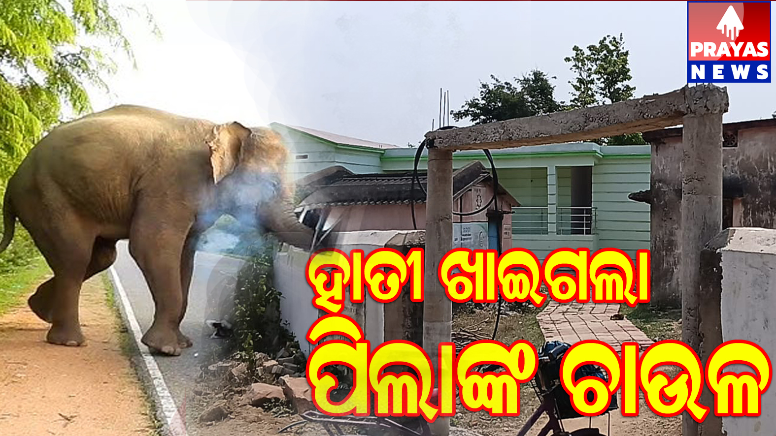 ହାତୀ ଉପଦ୍ରବ ନେଇ ବଢିଲା ଆତଙ୍କ: ଅଙ୍ଗନୱାଡି କେନ୍ଦ୍ର ଓ ସରକାରୀ ପ୍ରାଥମିକ ବିଦ୍ୟାଳୟରେ ବ୍ୟାପକ କ୍ଷୟକ୍ଷତି