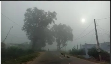 ରାଜ୍ୟରେ ଶୀତ ଲହରୀ , ହାତଗୋଡ଼ କୋଲ ମାରିଲା