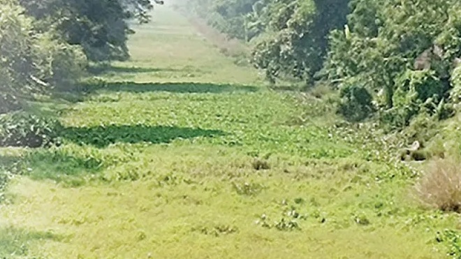 ପୁନରୁଦ୍ଧାର ଅପେକ୍ଷାରେ ଓଡ଼ିଶା କୋଷ୍ଟ୍‌ କେନାଲ୍‌: ଶହେ କିମିରୁ �